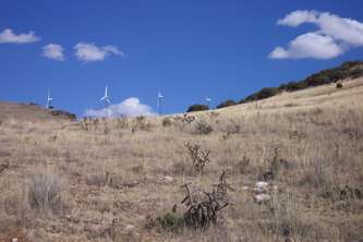 antelope-windmill