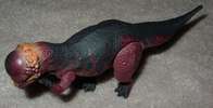 pachycephalosaurus2 pachycephalosaurus2