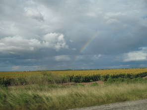 regenbogen-maize