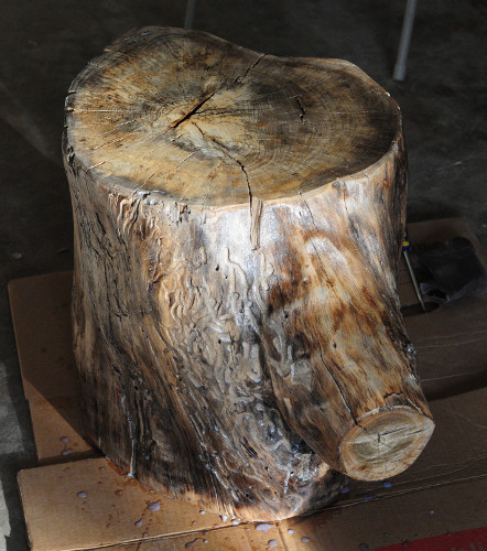 Log with first coat of polycrylic