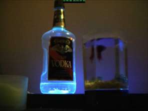 glowing-vodka